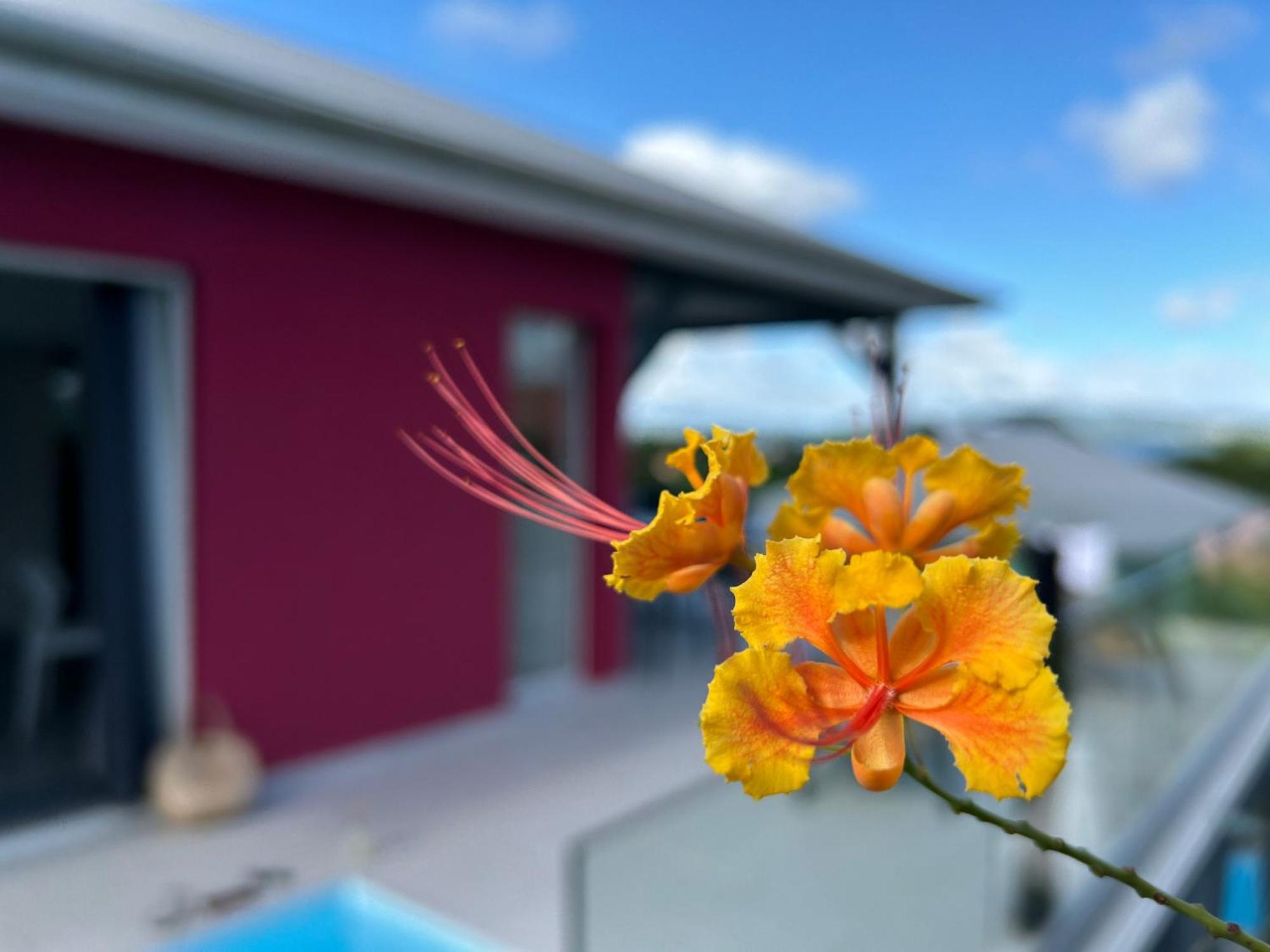לה טרואז אילט La Villa Jalna Grenadine Deux Chambres Et Piscine Privee מראה חיצוני תמונה
